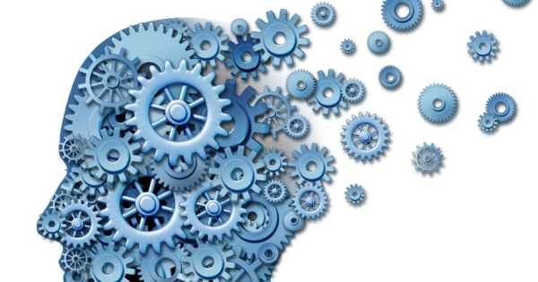 The Importance of Working Memory in Learning