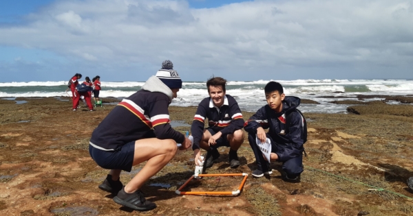 Y11 Biology – Observing adaptations on a Rocky Foreshore